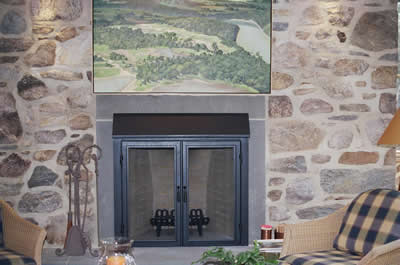 Fireplace insert with smoke hood