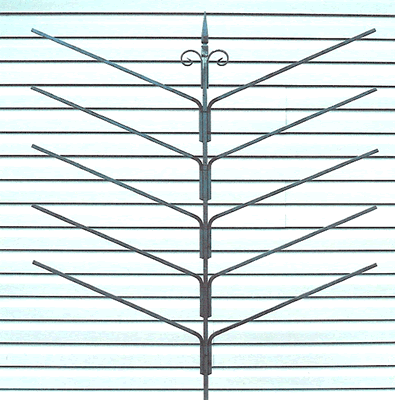 Trellis